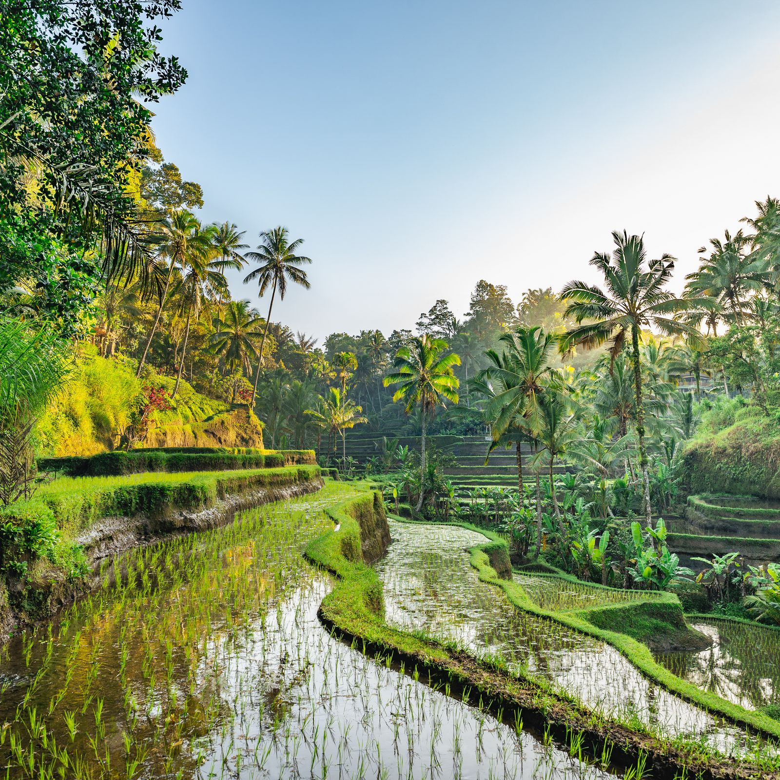 15 Things to Know Before Visiting Bali