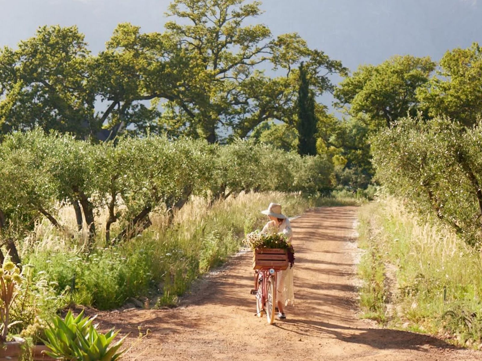 5 Wine Regions Worth Visiting Even If You Don't Drink