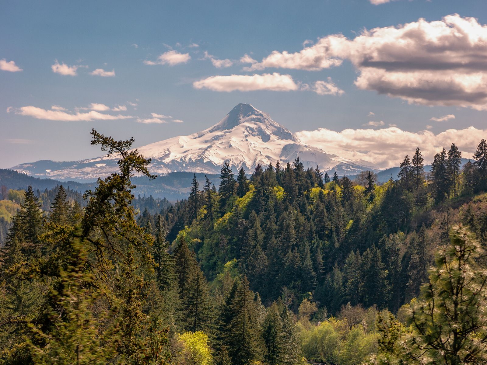 In the Columbia River Gorge, the Food and Wine are as Epic as the Nature