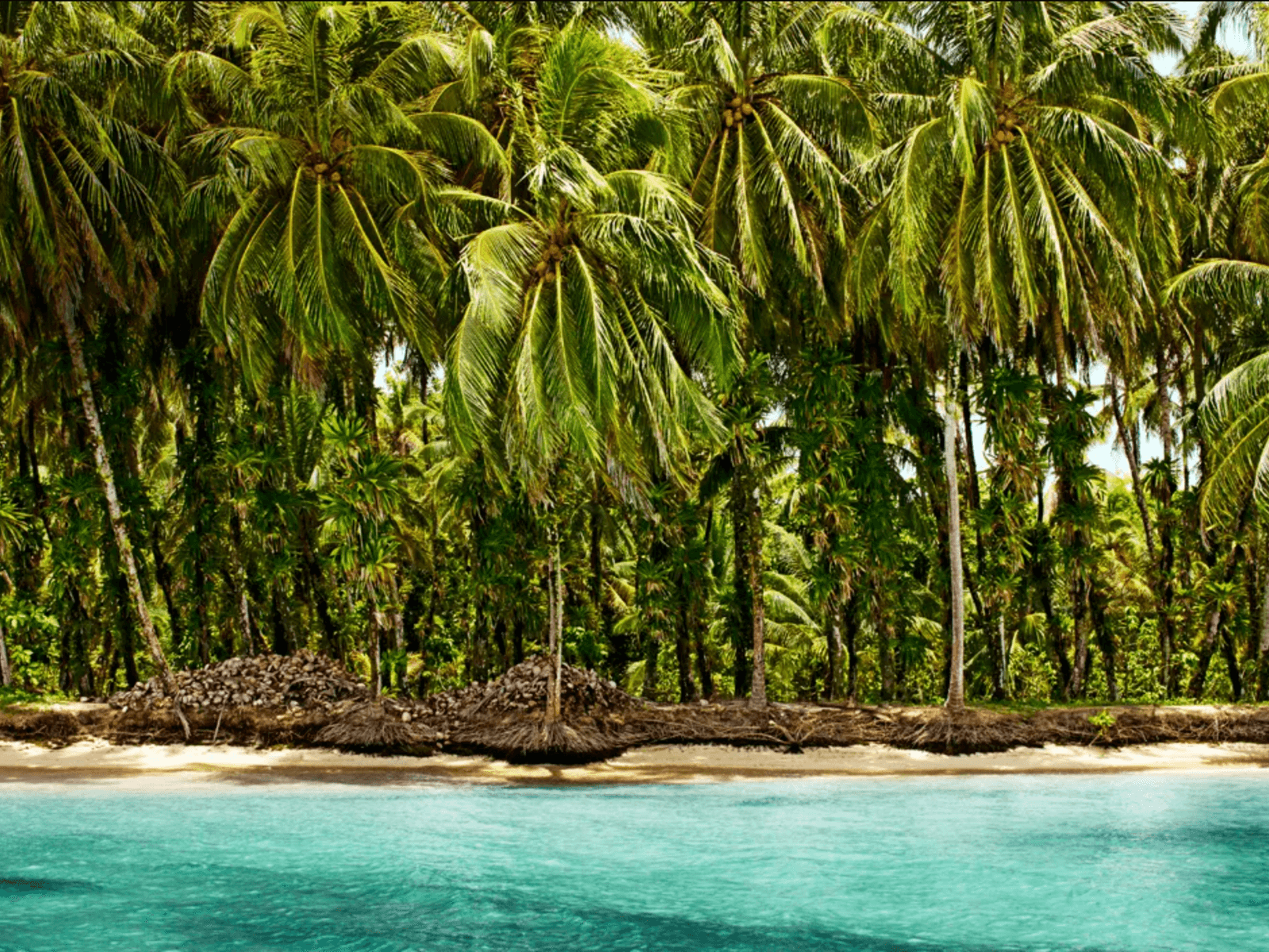 Panama’s Bocas del Toro Is Ready for Its Next Chapter